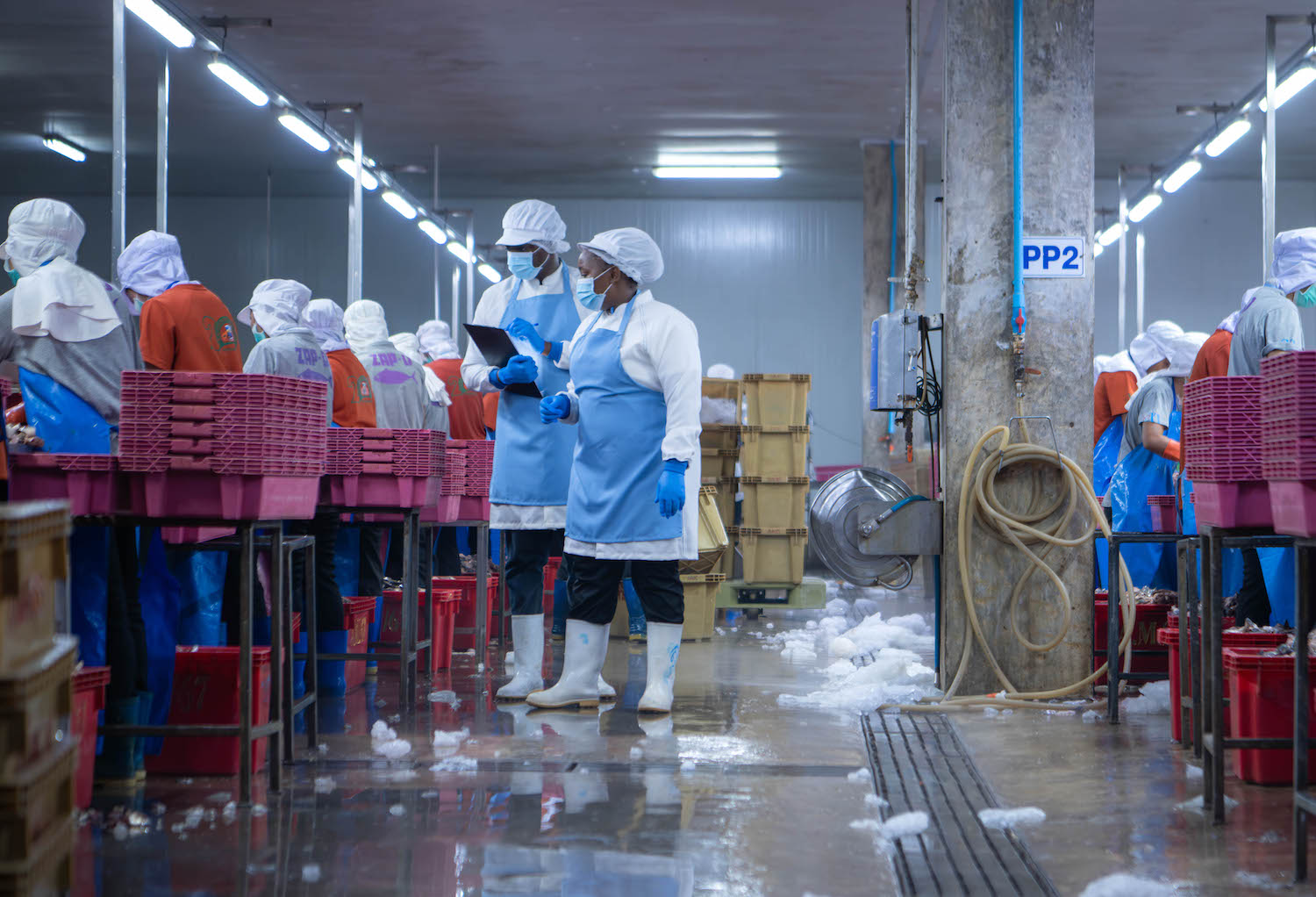 Lojistik ve Depolamada Hijyen: Kasa Yıkama Makinesi Teknolojileri